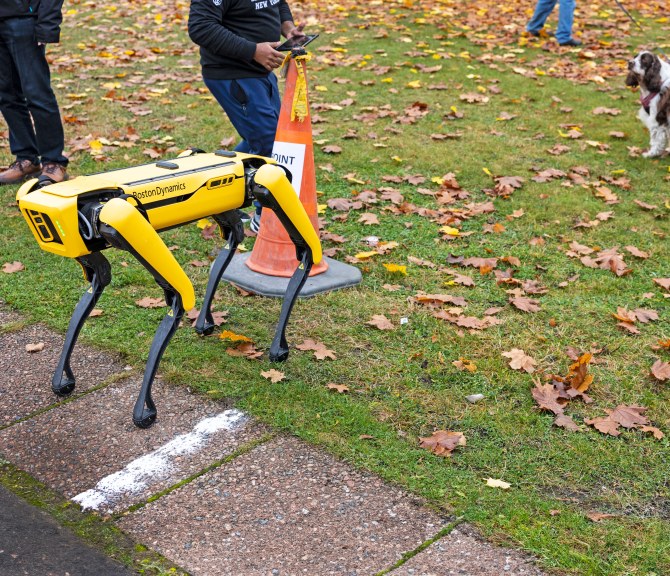 Robottikoira Spot ja oikea koira katselevat toisiaan.