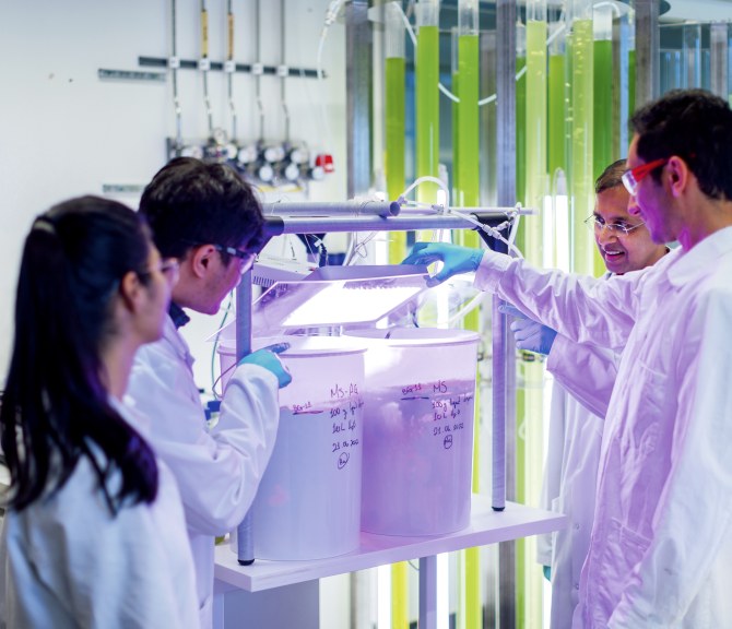 Neljä henkilöä ylipiston laboratoriossa.