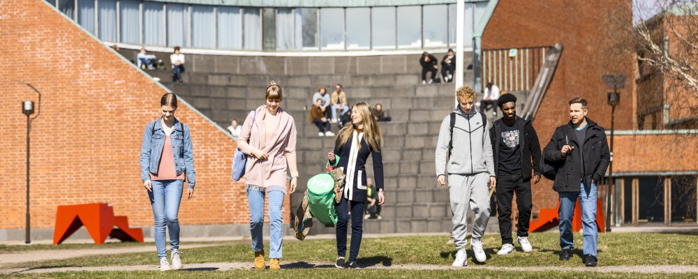 Opiskelijoita, Aalto-yliopisto, opiskelijaedustajat