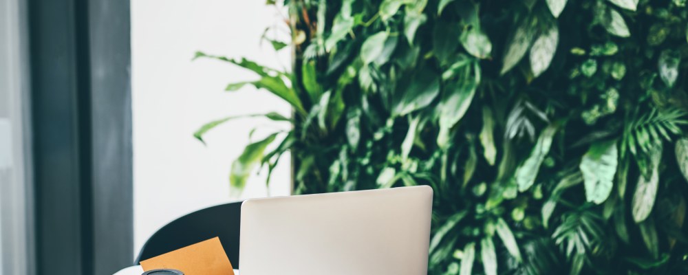 Läppäri pöydällä, viherseinän edessä.