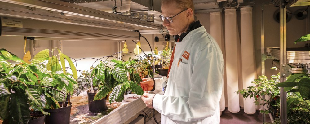 Heiko Rischer kahvikasvien luona.