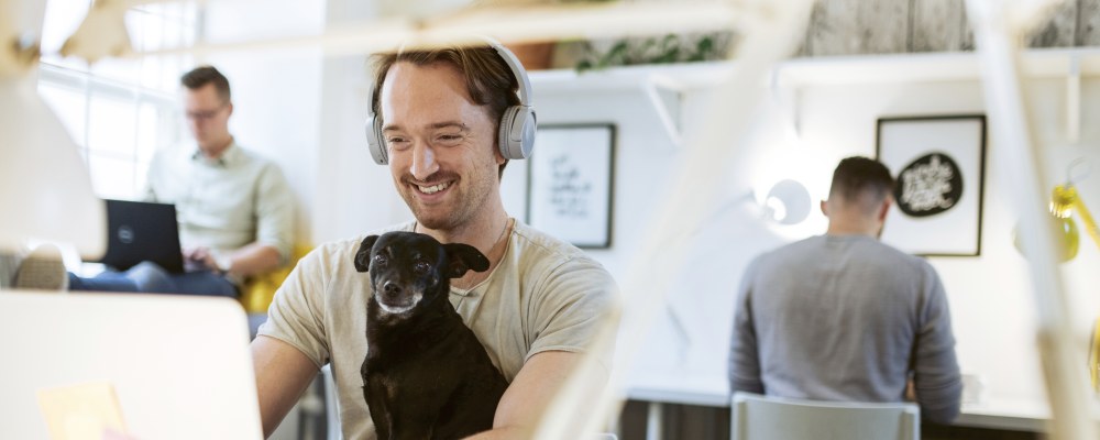 Kolme henkilöä toimistossa, yhdellä on koira sylissä ja kuulokkeet päässä.