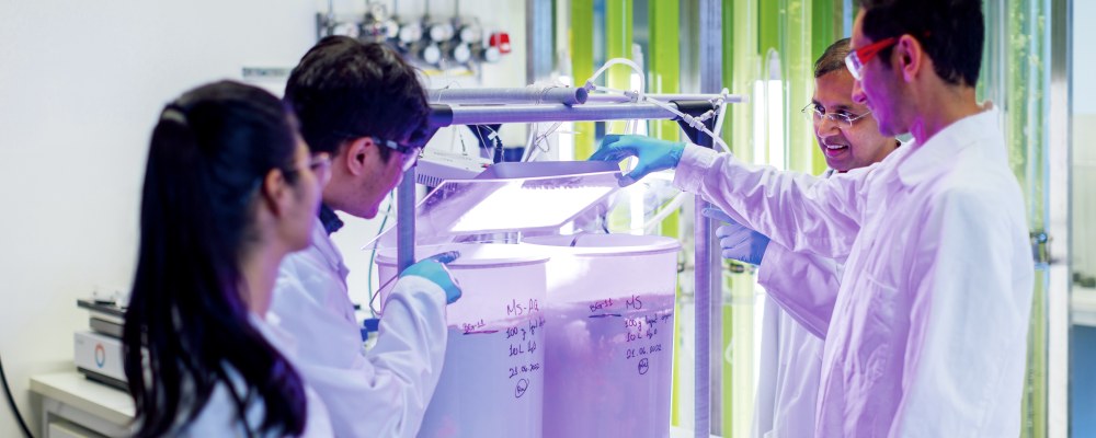 Neljä henkilöä ylipiston laboratoriossa.