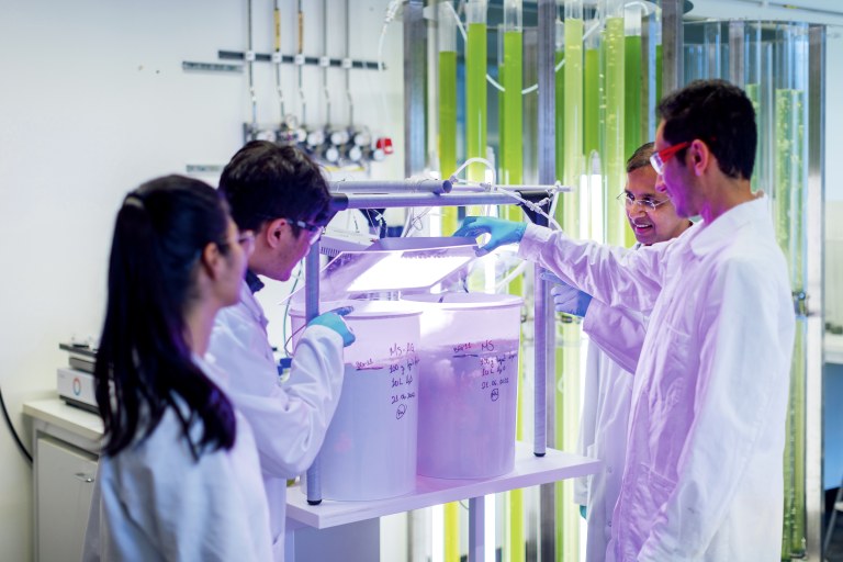 Neljä henkilöä ylipiston laboratoriossa.