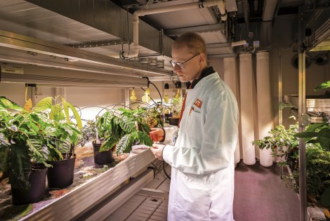 Heiko Rischer kahvikasvien luona.