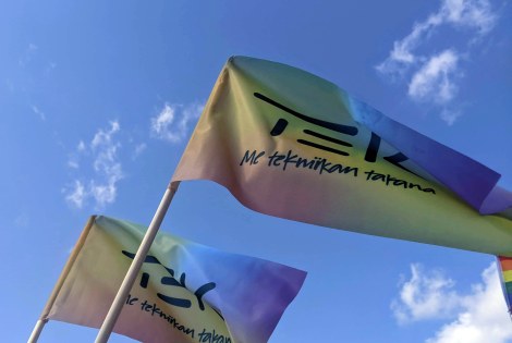 TEKin Pride-liput liehuvat sinistä taivasta vasten.