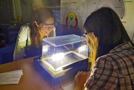 Ulla Noopila ja Aura Bonsdorff sumukammion ääressä.