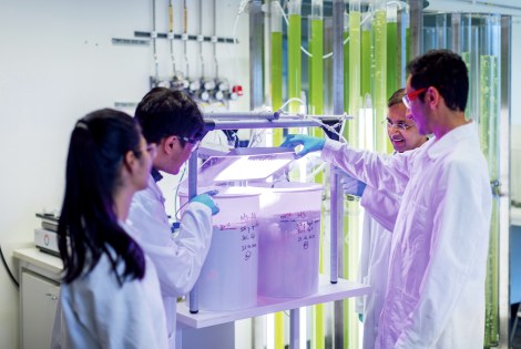 Neljä henkilöä ylipiston laboratoriossa.